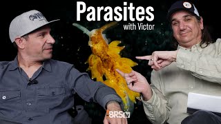 Vic’s Top 10 Coral Parasites amp How to Deal With Them [upl. by Eikcuhc]