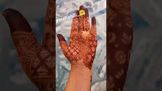 My new mehandi collection design ♥️mehandi by salma 2024shortvideo 🤗💯♥️ [upl. by Perni]