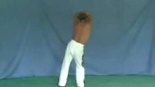 Yoseikan Budo Ondulation [upl. by Nolitta]