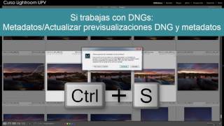 Ajustes de Catálogo y Preferencias en Lightroom [upl. by Alaehs]