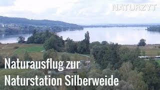 NATURZYT  Naturausflug zur Naturstation Silberweide [upl. by Ahsiatal]