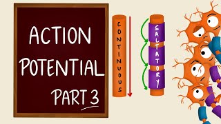 Conduction of nerve impulse  Action Potential Propagation  Saltatory Conduction  Nerve Physiology [upl. by Haron]