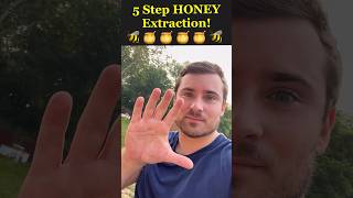 5 Shockingly Easy Steps to Harvest Honey 🍯🐝  Unbelievable Results [upl. by Naasah]