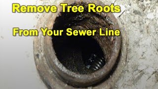 How To Cut amp Remove Tree Roots From Your Sewer Pipes [upl. by Itoyj]