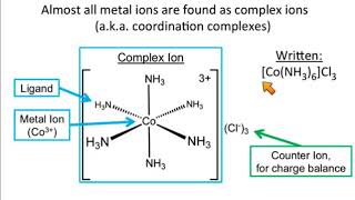 Transition Metal Complexes [upl. by Elicia]