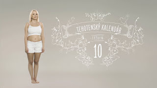 Tehotenský kalendár 10 týždeň [upl. by Eilyab]