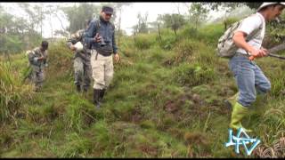 Esto sabemos de la situación en Ecuador [upl. by Abbot]