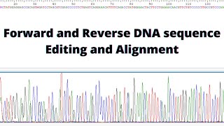 Webinar The Statistics of Local Pairwise Sequence Alignment Part 1 [upl. by Popele955]