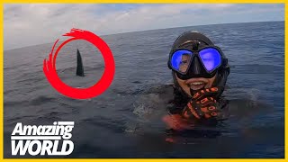 SHARK ATTAK  Unbelievable Shark Encounters Prepare to be Amazed by These 6 Shocking Stories [upl. by Nelav]