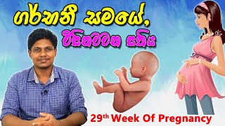 10 different types of birth control option in Tamil  Pregnancy tips in Tamil [upl. by Ailemap551]