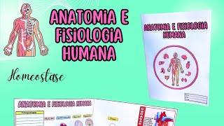 Fisiologia e Anatomia homeostase [upl. by Stefania]