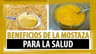 BENEFICIOS DE LA MOSTAZA PARA LA SALUD [upl. by Ri]