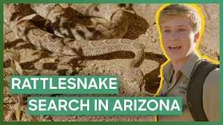 Robert Irwin Is Trying To Handle His First RATTLESNAKE Crikey It’s the Irwins [upl. by Ajit]