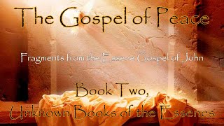 Fragments of the Essene Gospel of John Essene Gospel of Peace Book2 [upl. by Birch]