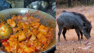 Wild Boar  Jangli Suar Recipe jungli pig meat janglisuarrecipe outdoorcooking [upl. by Naihs]