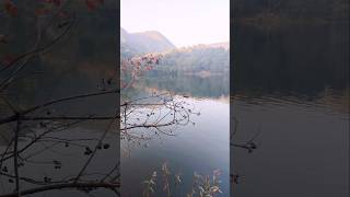 Sattal nainital trendingshorts shortsfeed shorts nature uttarakhand nanital [upl. by Yema]