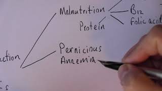 Anaemia 1 Types and causes of anaemia [upl. by Yenffad208]