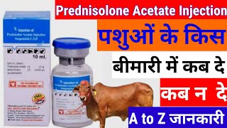 prednisolone Acetate injection  Prednisolone Acetate injection पशुओं के किस बीमारी में कब दे [upl. by Valery]