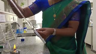 Heat Coagulation Test I Protein Precipitation test I Isoelectric pH [upl. by Christiansen]