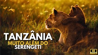 Tanzânia Muito Além do Serengeti animals wildlife documentary safari [upl. by Cahra788]