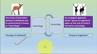 AUTECOLOGY SYNECLOGY amp Levels of organisation [upl. by Potts]