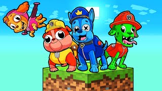 ¡PAW PATROL EN SKYBLOCK [upl. by Elletnwahs]