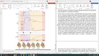 diagrama de wiggers [upl. by Stillman]