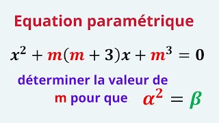 Equation paramétrique [upl. by Raynard]