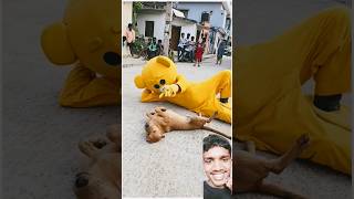 Dog 🐶 prant🤣comedy video [upl. by Santiago]