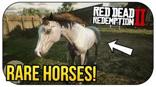 How to Spawn RARE HORSES in Red Dead Redemption 2 FREE [upl. by Suidaht301]