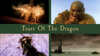 Bruce Dickinson  Tears Of The Dragon Official HD Video [upl. by Volpe]