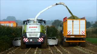 Ensilage maïs 2013  Lonsdorfer David Claas jaguar 950 john deere 7r 6r 7830 [upl. by Indys]