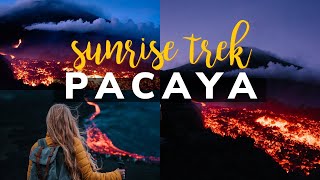 PACAYA VOLCANO SUNRISE TREK  Pacaya Volcano Eruption 2021 EPIC Lava Flow  Guatemala [upl. by Cherish65]