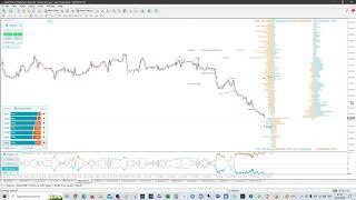 USDCHF liquidity probe and reversal scenario using FXSSI Order Book [upl. by Iuqcaj727]