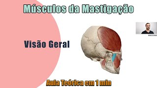 Músculos da Mastigação  uma visão geral  Teórica  Anatomia Humana [upl. by Valda]