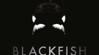 Blackfish Teaser Clip [upl. by Nocam]