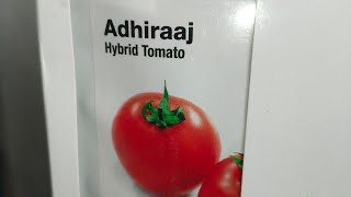 New अधीराज टमाटर बीज SEMINIS Adhiraaj Tomato Seeds Brand SEMINIS seed [upl. by Adyaj809]