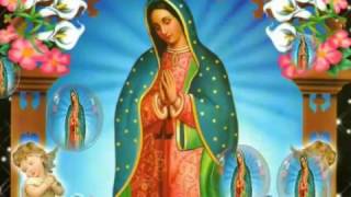 Virgen de Guadalupe La Guadalupana [upl. by Anaicilef]