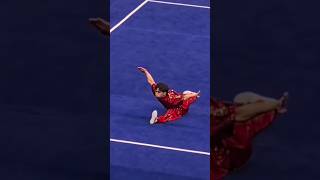 Wushu TaoluChanquanJump Inside 900 wushutaolu wushu martialarts acrobatics [upl. by Genisia784]