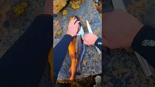 quotHow to Skin a Cod Tips from Fishing to Fishmongering Fishing Spearfishing Fishmongerquot [upl. by Samoht]