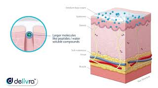 Delivra Advanced Transdermal Technology [upl. by Einnij]