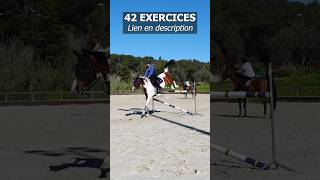 42 exercices de saut dobstacles à télécharger cheval horse jumping [upl. by Anoved929]