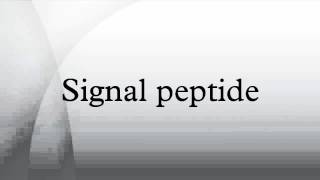 Signal peptide [upl. by Politi]