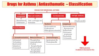 15 Drugs for Bronchial Asthma  Antiasthamatic Drugs Classification  Audio Pharmacological Class [upl. by Diraj]