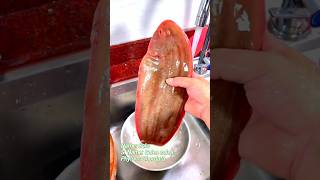 Sole🐠Fish🆗 fishingvideo fishinglife fishcatching [upl. by Salokcin]