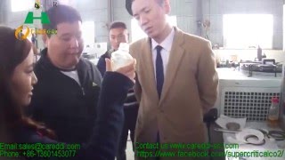 Sea Buckthorn seeds oil extraction by careddi supercritical co2 extraction machine [upl. by Nashner]