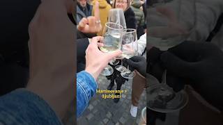 Martinovanje v Ljubljani 🍷ljubljana slovenija slovenia hrvatska croatia zagreb balkan wine [upl. by Imiaj]