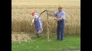 Teil 13 Getreide  Von der Saat bis zum Brot [upl. by Kester]