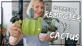 Comment rempoter un cactus sans gants et sans se piquer [upl. by Favien]