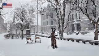 Buffalo NY Downtown ❄️ Winter Snow Walk after Winter Storm Lake Effect Snowfall [upl. by Jarus]